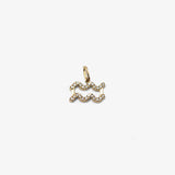 Charm Zicornia  Zodiac Aquarius - Gold