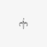 Zodiac Zirconia - Silver
