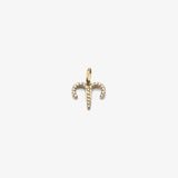Zodiac Zirconia - Gold
