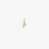 Initial Zirconia - Gold